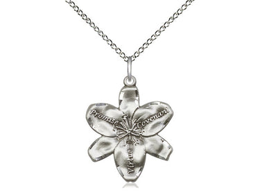 Medium Sterling Silver Catholic Chastity Medal Necklace 7/8 x 3/4 inch on 18 inch lite curb chain handcrafted by Bliss USA