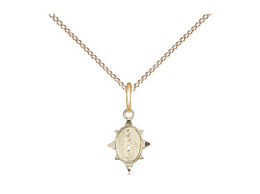 Small 14kt Gold Filled Miraculous Medal Necklace 3/8 x 1/4 with 18 inch Gold Filled Chain by Bliss
