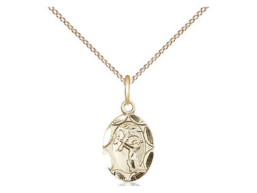 14kt Gold Filled Small St Francis of Assisi Patron Saint Medal Necklace 1/2 inch x 1/4 inch on 18 inch Chain by Bliss