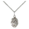 Sterling Silver Small St Francis of Assisi Patron Saint Medal Necklace 1/2 inch x 1/4 inch on 18 inch Chain by Bliss