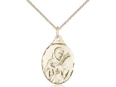 14kt Gold Filled St. Francis of Assisi patron saint medal necklace 7/8 inch by 1/2 inch on 18 inch chain by Bliss
