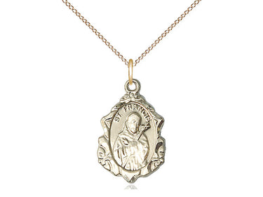 Gold Filled St. Francis of Assisi Patron Saint Medal Necklace, 3/4 x 1/2 inch with 18 inch chain, USA Made by Bliss