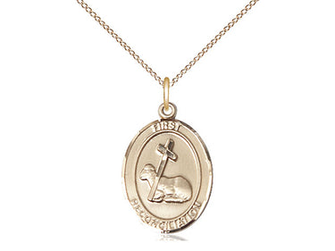 Gold Filled First Reconciliation Medal Necklace 3/4 x 1/2 inch with 18 inch chain by Bliss