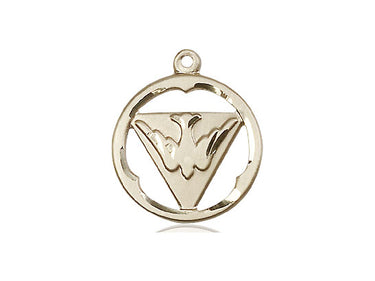 14kt solid gold Holy Spirit medal pendant with dove, 3/4 x 5/8 inches, handcrafted by Bliss Manufacturing