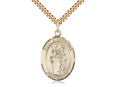 14kt Gold Filled St. Stanislaus Medal Necklace 1x3/4 inch pendant on 24 inch chain by Bliss