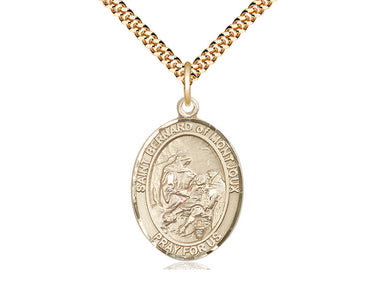14kt Gold Filled St. Bernard of Montjoux Medium Patron Saint Medal Necklace 1 x 3/4 inch 24 inch Chain by Bliss