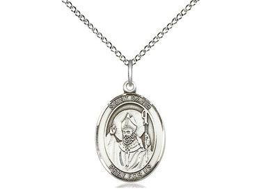 Sterling Silver St. David of Wales Patron Saint Medal Necklace 3/4" x 1/2" with 18" Chain by Bliss