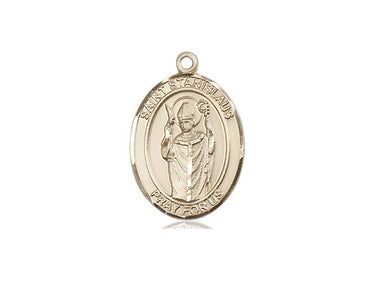 14kt Solid Gold St. Stanislaus patron saint medal pendant, 3/4 x 1/2 inch Medium size, handmade by Bliss