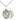 Sterling silver Our Lady of Mount Carmel medal necklace with 3/4 x 1/2 inch pendant on 18 inch chain by Bliss