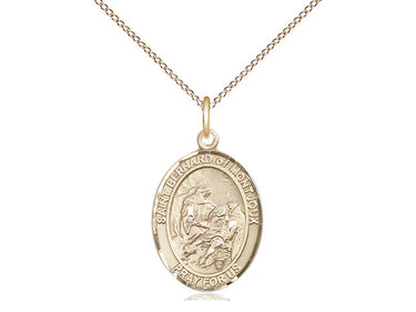 14kt Gold Filled St. Bernard of Montjoux Medal Necklace 3/4 x 1/2 on 18 Inch Chain by Bliss USA