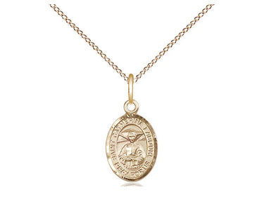 14kt Gold Filled St. Catherine Laboure Small Patron Saint Medal Necklace 1/2 x 1/4 with 18 inch Chain by Bliss