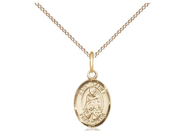 14kt Gold Filled St. Daniel Patron Saint Medal Necklace 1/2 inch by 1/4 inch on 18 inch chain by Bliss