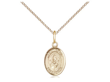 14kt Gold Filled St. David of Wales patron saint medal necklace, small 1/2 inch pendant on 18 inch chain, handcrafted by Bliss Manufacturing