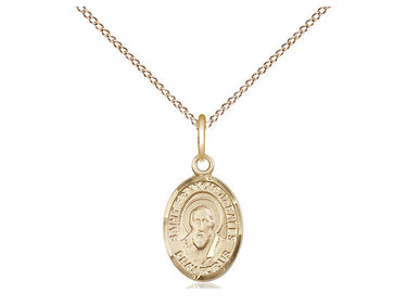Gold Filled St. Francis de Sales patron saint medal necklace 1/2 inch by 1/4 inch on 18 inch chain by Bliss
