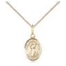 Gold Filled St. Francis of Assisi patron saint medal necklace 1/2 inch by 1/4 inch on 18 inch chain by Bliss