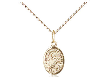 14kt Gold Filled St. Martin de Porres Patron Saint Medal Necklace 1/2 x 1/4 inch 18 inch chain Bliss USA
