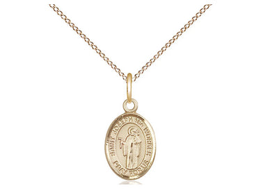 Small 14kt Gold Filled St. Joseph The Worker Patron Saint Medal Necklace 1/2 x 1/4 with 18 inch chain by Bliss