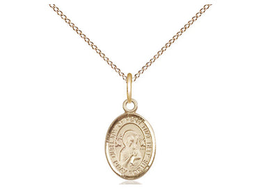 Small Gold Filled Our Lady of Perpetual Help Medal Necklace 1/2 x 1/4 inch on 18 inch Chain by Bliss