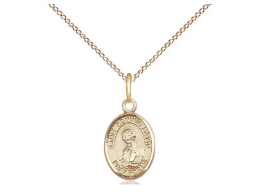 Small 14kt gold filled St. Dominic Savio patron saint medal necklace, 1/2 x 1/4 inch pendant with 18 inch chain by Bliss