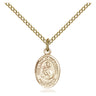 14kt Gold Filled Our Lady of Mount Carmel Medal Necklace 1/2x1/4 inch pendant on 18 inch chain by Bliss