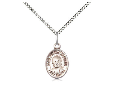 Sterling silver St. Arnold Janssen patron saint medal necklace with 18 inch chain handcrafted by Bliss