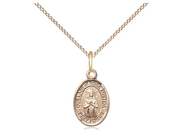 Gold Filled Our Lady of Rosa Mystica Medal Necklace, Small 1/2 x 1/4 inch pendant on 18 inch chain by Bliss