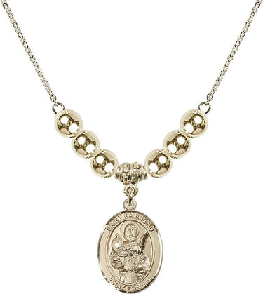 Saint Raymond Nonnatus Crystal Necklace | 3/4 inch | 6mm Beads _x0014_ 14kt Gold Filled