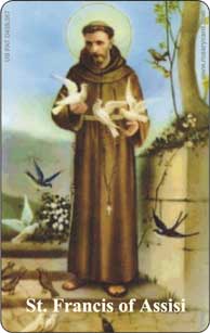St. Francis of Assisi Rosary Card credit card sized Catholic prayer tool with tactile beads by RosaryCard