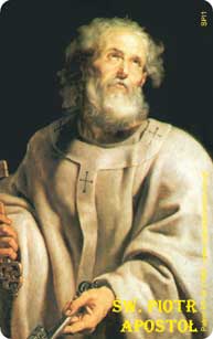 St. Peter Rosary Card credit card sized Catholic prayer tool with tactile Braille-like beads by RosaryCard