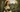 St. Dymphna medal, patron saint of anxiety and depression, worn as a Catholic gift for mental health