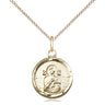 14kt Gold Filled Small Our Lady of Perpetual Help Medal Necklace 5/8 x 1/2 inches 18 inch chain Bliss