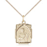 14kt Gold Filled St. Jude Patron Saint Medal Necklace 5/8 x 1/2 inch with 18 inch Curb Chain by Bliss