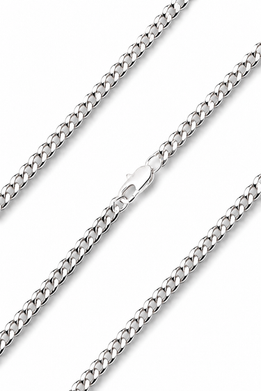 Sterling Silver Medium Pope Benedict XVI Medal Necklace shown with a 24-inch rhodium plated stainless steel curb chain