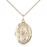 14kt Gold Filled St. David of Wales Patron Saint Medal Necklace 3/4 inch pendant on 18 inch curb chain by Bliss