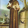 St. Francis of Assisi Rosary Card credit card sized Catholic prayer tool with tactile beads by RosaryCard