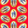 Our Lady of Grace Catholic stickers sheet with 11 Blessed Virgin Mary stickers, 1x1.75 inches each, by RosaryCard